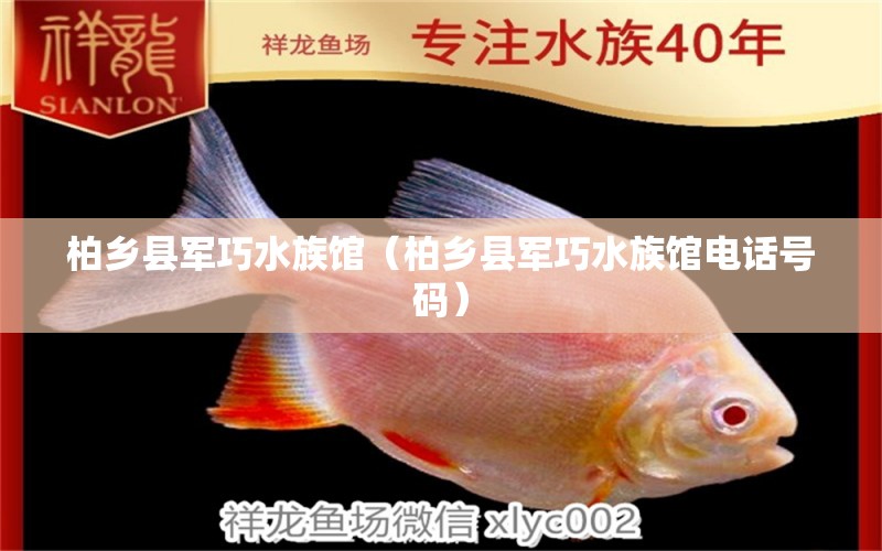 柏乡县军巧水族馆（柏乡县军巧水族馆电话号码）