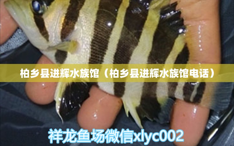 柏乡县进辉水族馆（柏乡县进辉水族馆电话）