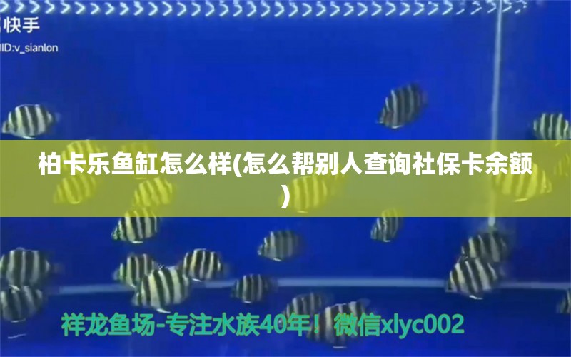 柏卡乐鱼缸怎么样(怎么帮别人查询社保卡余额)