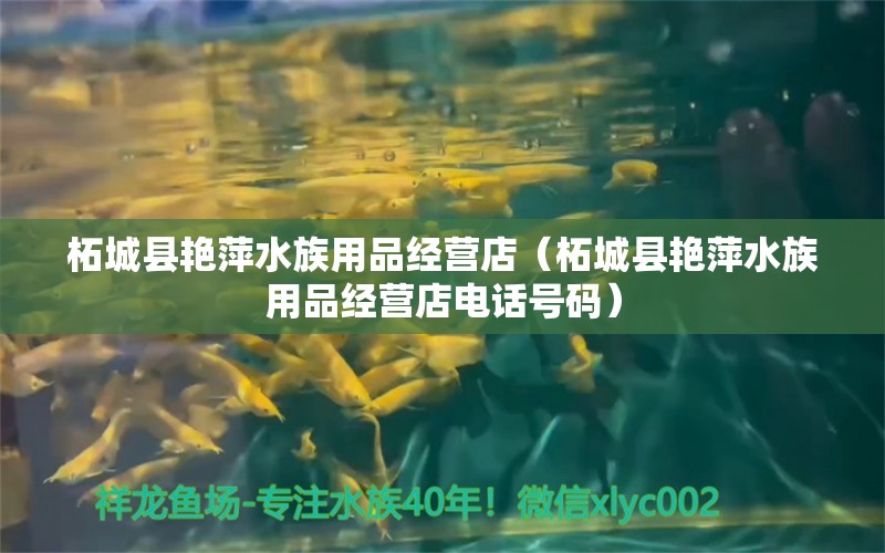 柘城县艳萍水族用品经营店（柘城县艳萍水族用品经营店电话号码） 水族用品