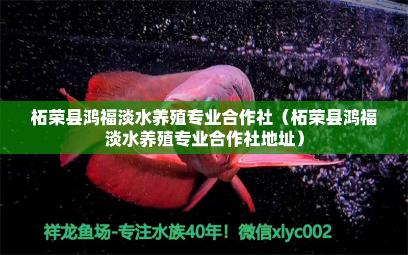 柘荣县鸿福淡水养殖专业合作社（柘荣县鸿福淡水养殖专业合作社地址）