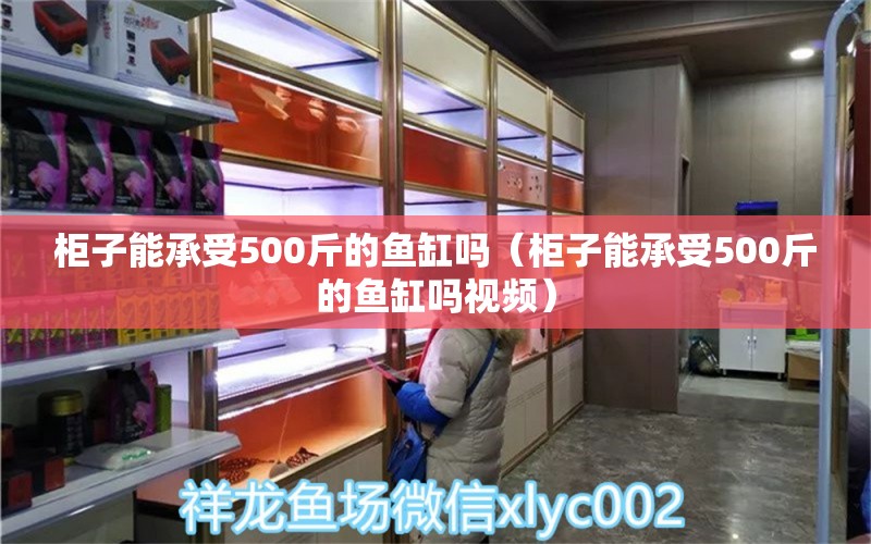 柜子能承受500斤的鱼缸吗（柜子能承受500斤的鱼缸吗视频）