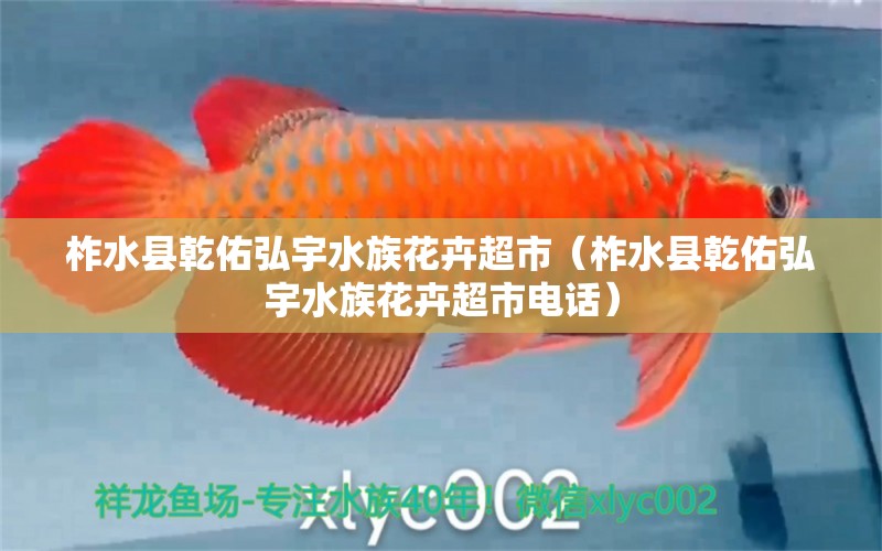 柞水县乾佑弘宇水族花卉超市（柞水县乾佑弘宇水族花卉超市电话） 全国水族馆企业名录