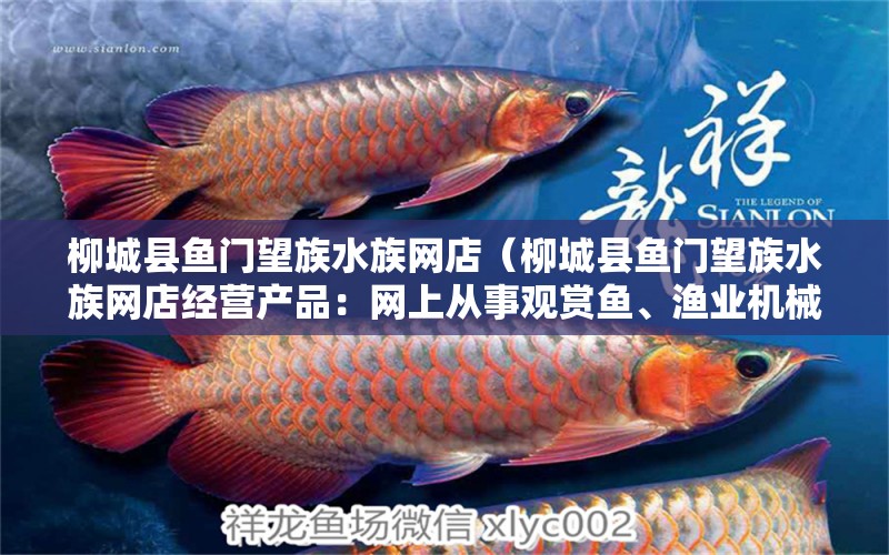 柳城县鱼门望族水族网店（柳城县鱼门望族水族网店经营产品：网上从事观赏鱼、渔业机械及日用百货销售） 全国观赏鱼市场 第2张