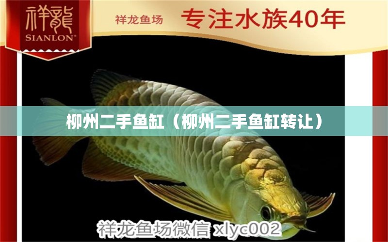 柳州二手鱼缸（柳州二手鱼缸转让） 其他品牌鱼缸