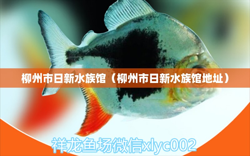 柳州市日新水族馆（柳州市日新水族馆地址）