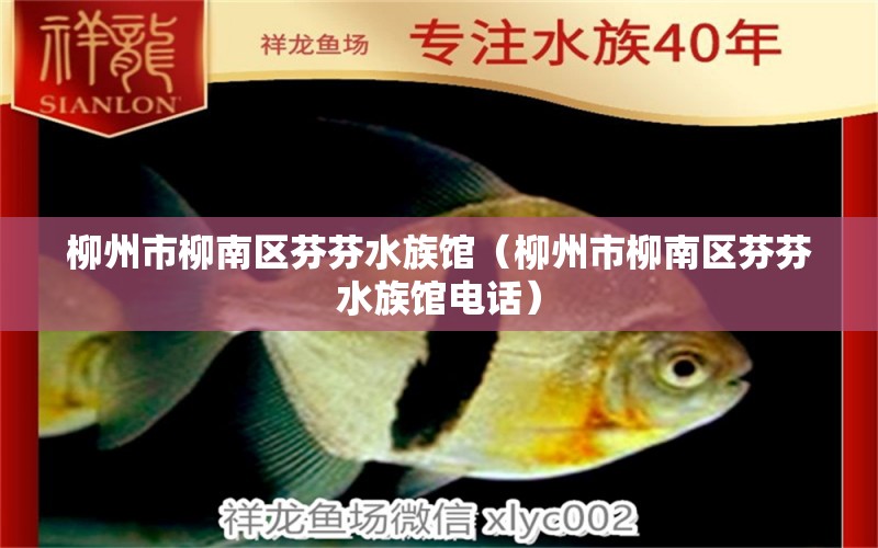 柳州市柳南区芬芬水族馆（柳州市柳南区芬芬水族馆电话）