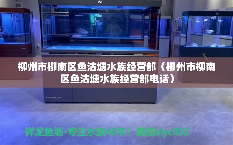 柳州市柳南区鱼沽塘水族经营部（柳州市柳南区鱼沽塘水族经营部电话） 全国水族馆企业名录