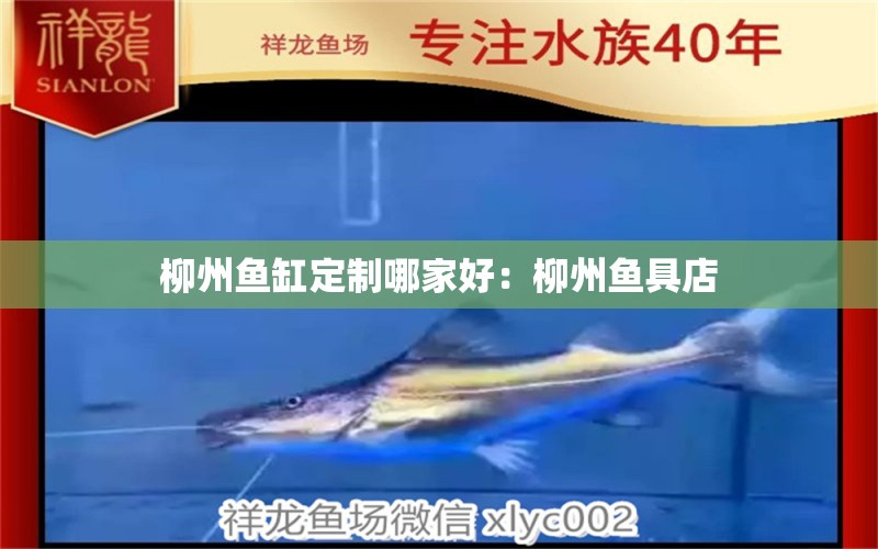 柳州鱼缸定制哪家好：柳州鱼具店 广州水族批发市场