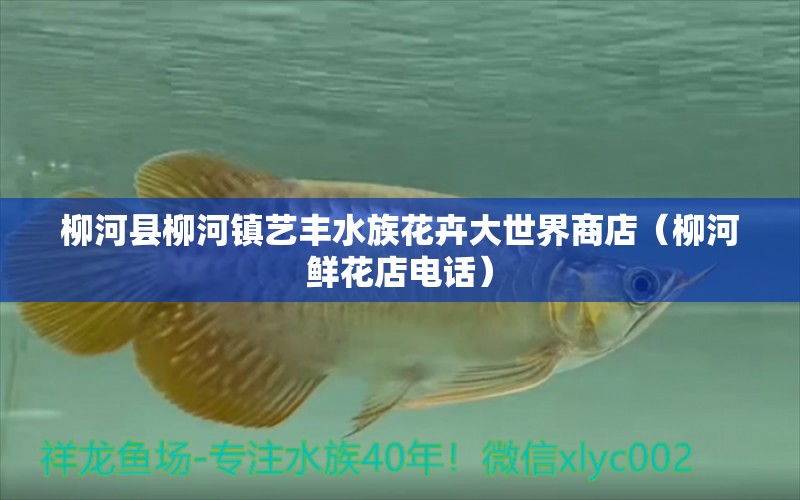 柳河县柳河镇艺丰水族花卉大世界商店（柳河鲜花店电话）