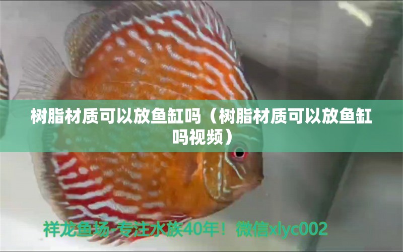 树脂材质可以放鱼缸吗（树脂材质可以放鱼缸吗视频） 量子养鱼技术