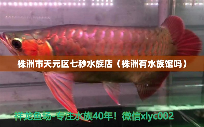 株洲市天元区七秒水族店（株洲有水族馆吗） 全国水族馆企业名录