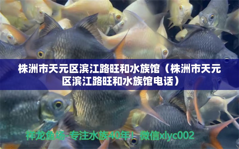 株洲市天元区滨江路旺和水族馆（株洲市天元区滨江路旺和水族馆电话）