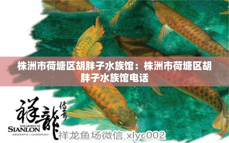 株洲市荷塘区胡胖子水族馆：株洲市荷塘区胡胖子水族馆电话 全国水族馆企业名录