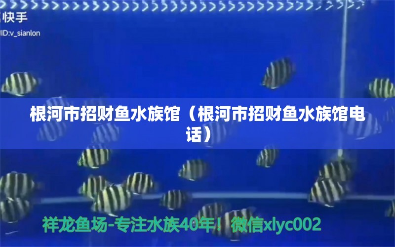 根河市招财鱼水族馆（根河市招财鱼水族馆电话）