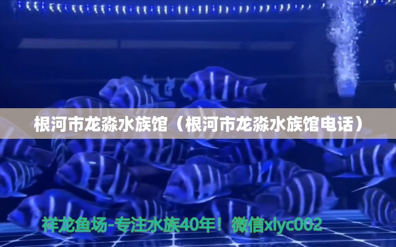 根河市龙淼水族馆（根河市龙淼水族馆电话） 全国水族馆企业名录