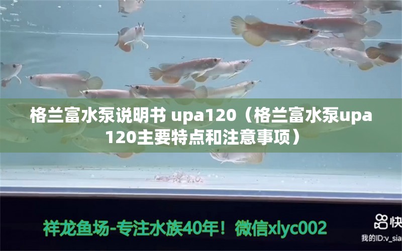 格兰富水泵说明书 upa120（格兰富水泵upa120主要特点和注意事项） 祥龙水族滤材/器材 第2张