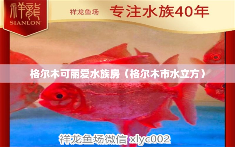 格尔木可丽爱水族房（格尔木市水立方）