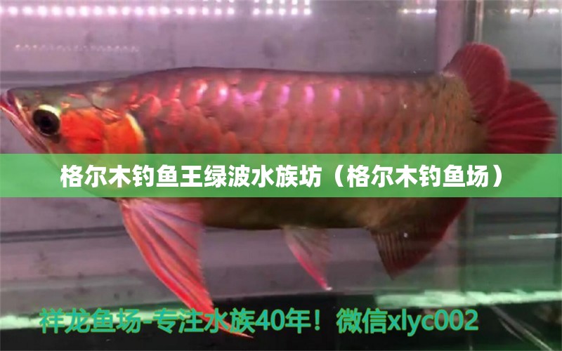 格尔木钓鱼王绿波水族坊（格尔木钓鱼场）