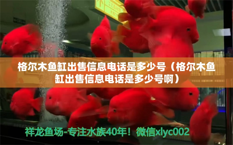 格尔木鱼缸出售信息电话是多少号（格尔木鱼缸出售信息电话是多少号啊）