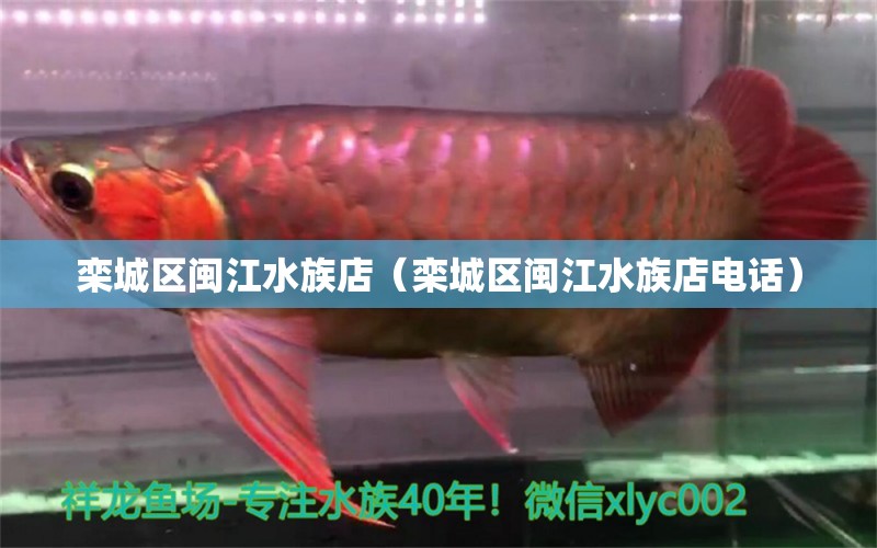 栾城区闽江水族店（栾城区闽江水族店电话）