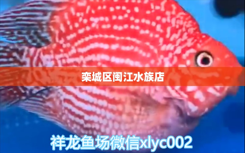 栾城区闽江水族店 全国水族馆企业名录