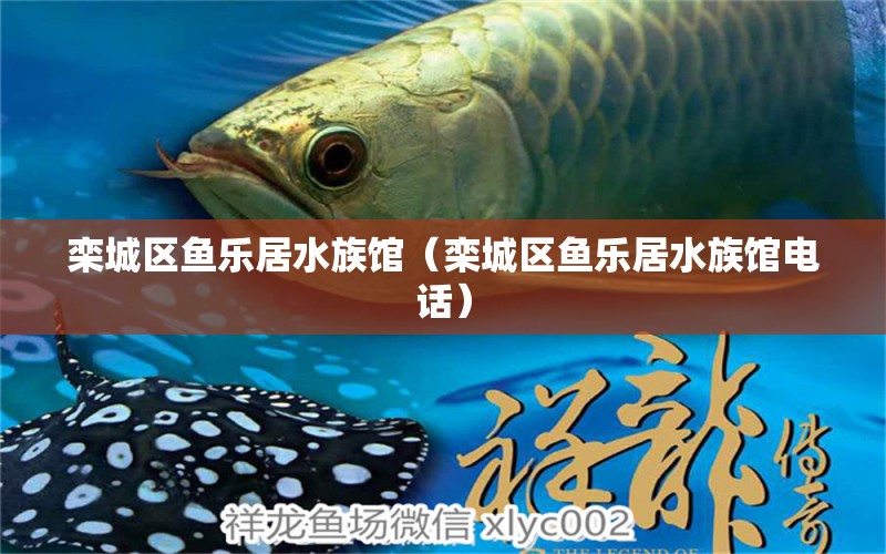 栾城区鱼乐居水族馆（栾城区鱼乐居水族馆电话）