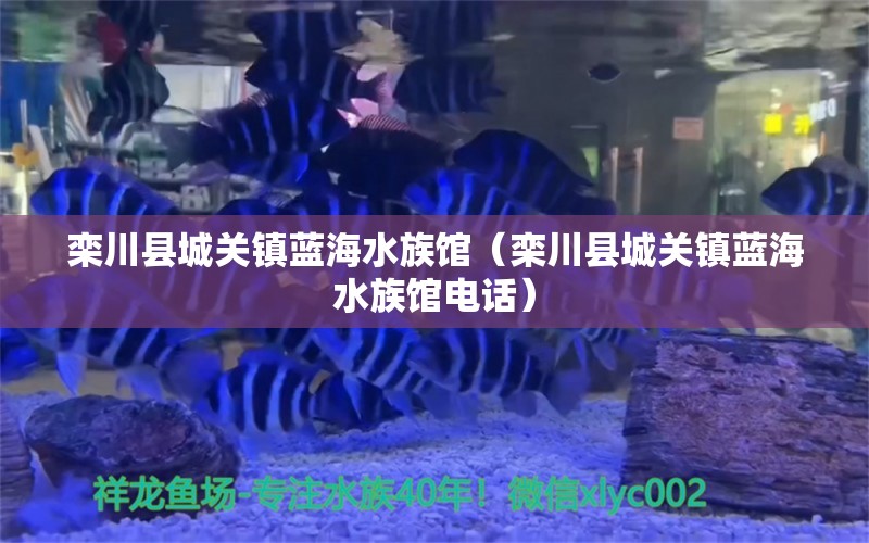 栾川县城关镇蓝海水族馆（栾川县城关镇蓝海水族馆电话） 全国水族馆企业名录