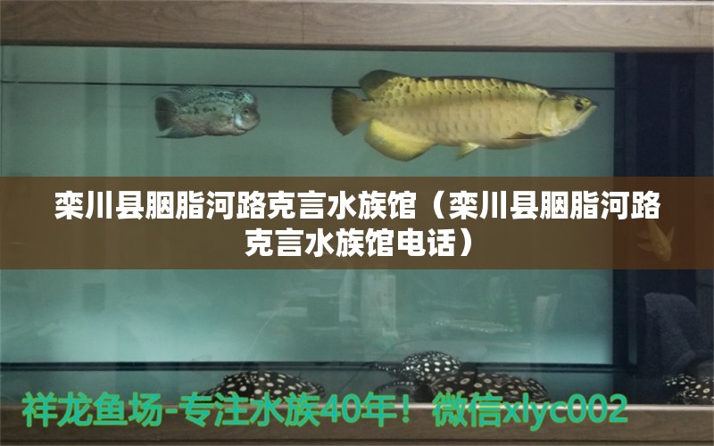 栾川县胭脂河路克言水族馆（栾川县胭脂河路克言水族馆电话）