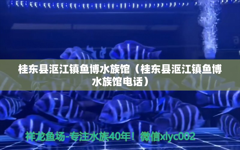 桂东县沤江镇鱼博水族馆（桂东县沤江镇鱼博水族馆电话） 全国水族馆企业名录