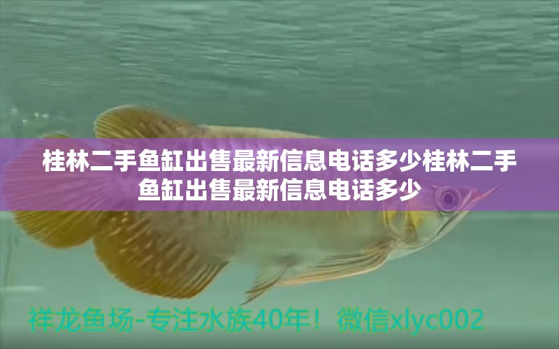 桂林二手鱼缸出售最新信息电话多少桂林二手鱼缸出售最新信息电话多少 养鱼知识