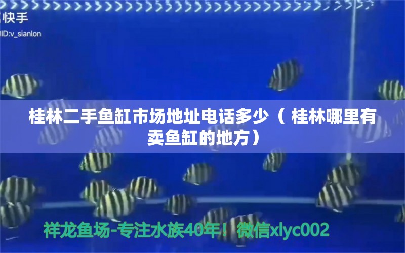 桂林二手鱼缸市场地址电话多少（ 桂林哪里有卖鱼缸的地方） 蓝帆三间鱼 第1张