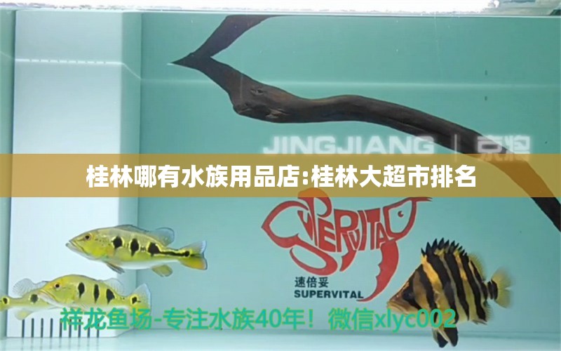 桂林哪有水族用品店:桂林大超市排名