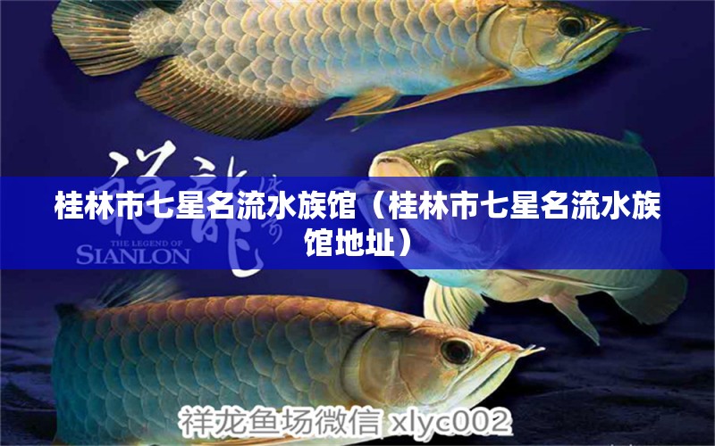 桂林市七星名流水族馆（桂林市七星名流水族馆地址） 全国水族馆企业名录