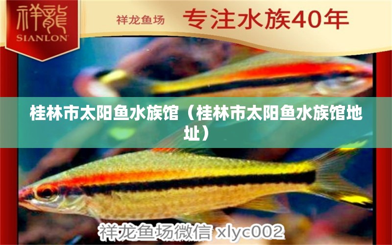 桂林市太阳鱼水族馆（桂林市太阳鱼水族馆地址） 全国水族馆企业名录