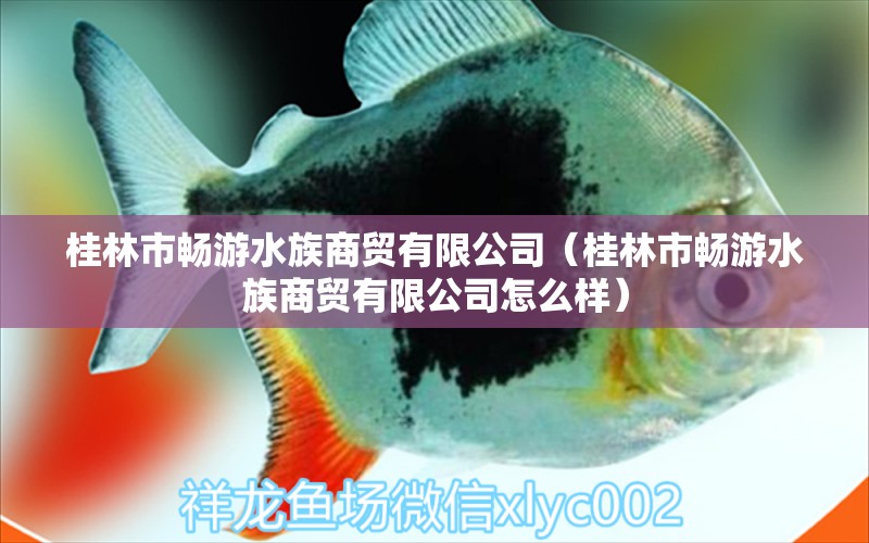 桂林市畅游水族商贸有限公司（桂林市畅游水族商贸有限公司怎么样）