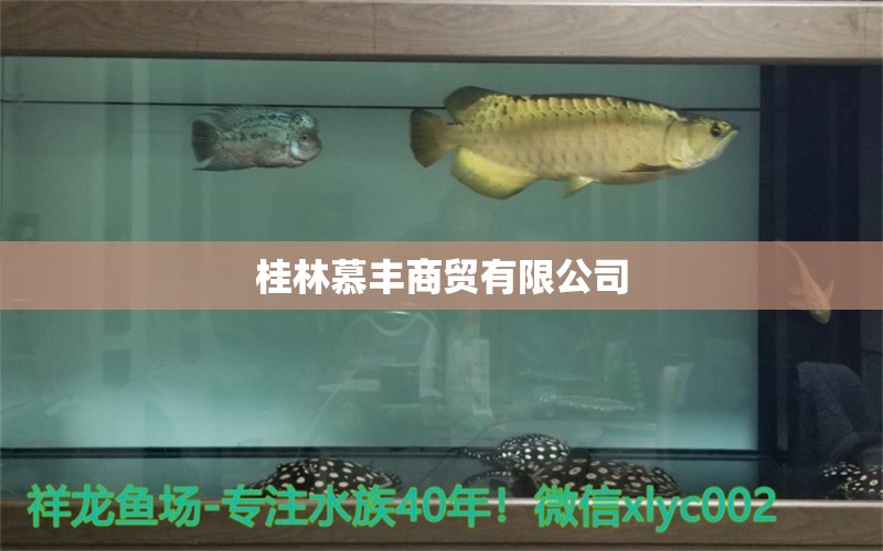 桂林慕丰商贸有限公司