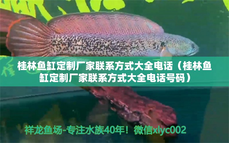 桂林鱼缸定制厂家联系方式大全电话（桂林鱼缸定制厂家联系方式大全电话号码）