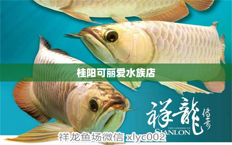 桂阳可丽爱水族店