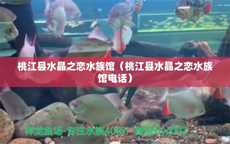 桃江县水晶之恋水族馆（桃江县水晶之恋水族馆电话） 全国水族馆企业名录