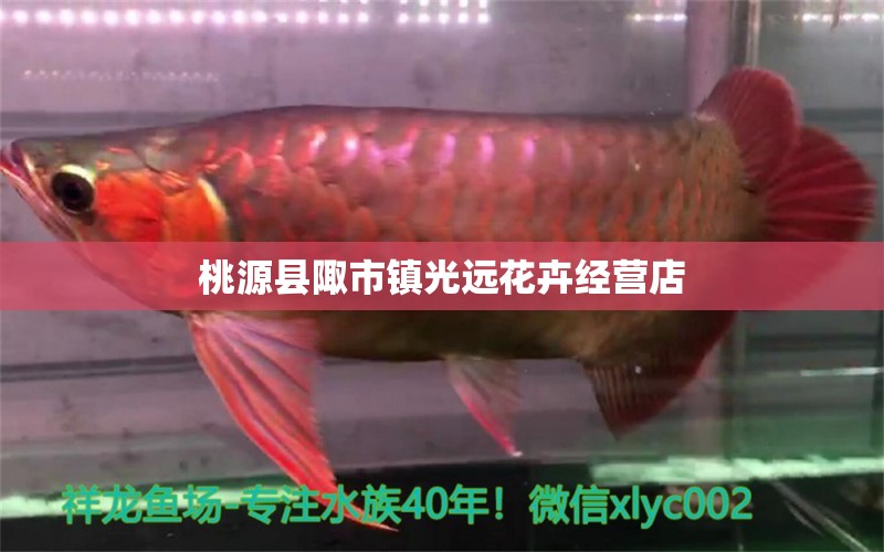 桃源县陬市镇光远花卉经营店 全国水族馆企业名录