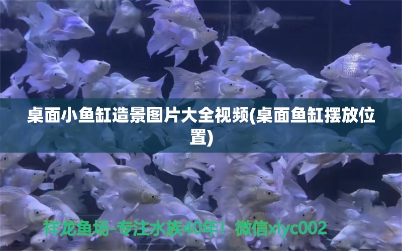 桌面小鱼缸造景图片大全视频(桌面鱼缸摆放位置) 海水鱼（海水鱼批发）