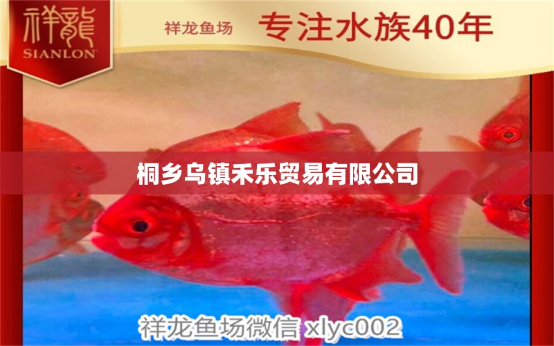 桐乡乌镇禾乐贸易有限公司 全国水族馆企业名录