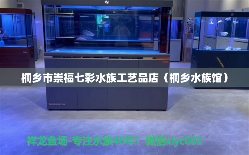 桐乡市崇福七彩水族工艺品店（桐乡水族馆） 全国水族馆企业名录