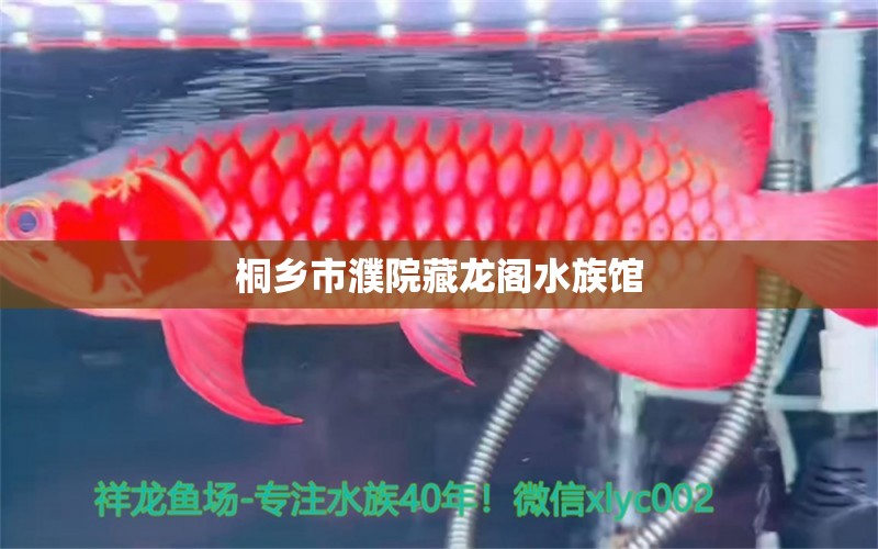 桐乡市濮院藏龙阁水族馆