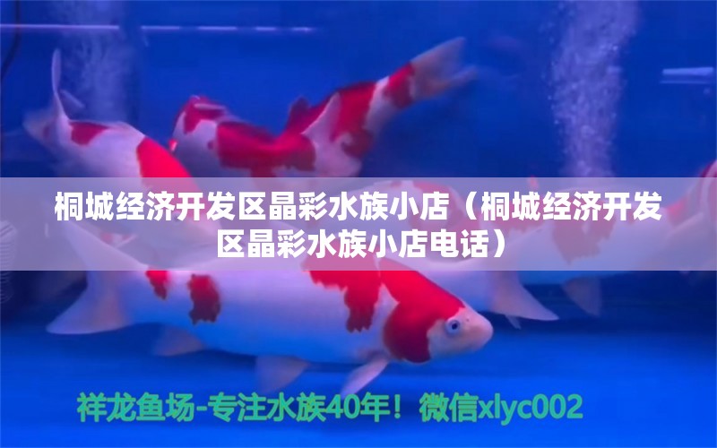 桐城经济开发区晶彩水族小店（桐城经济开发区晶彩水族小店电话） 全国水族馆企业名录