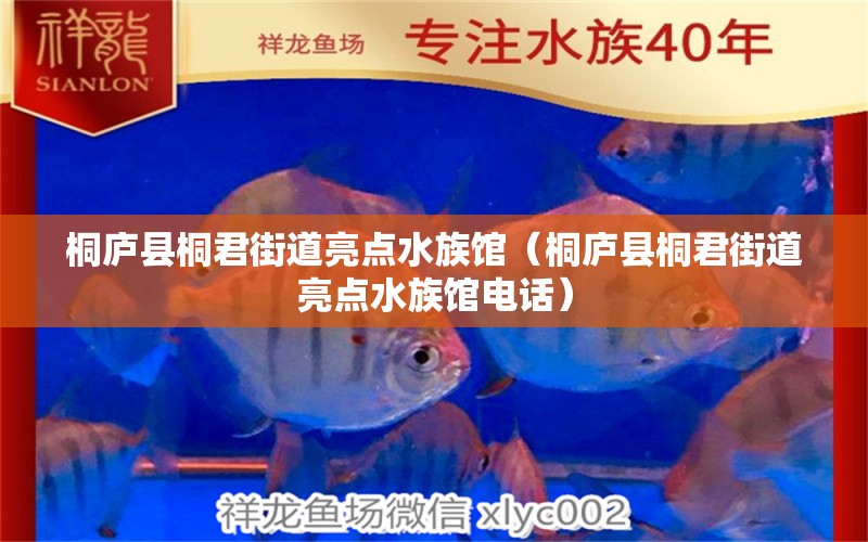 桐庐县桐君街道亮点水族馆（桐庐县桐君街道亮点水族馆电话） 全国水族馆企业名录