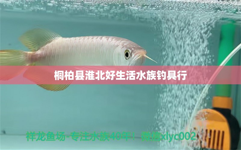 桐柏县淮北好生活水族钓具行