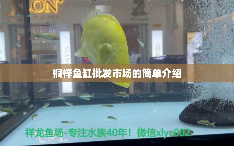 桐梓鱼缸批发市场的简单介绍 龙鱼百科 第1张