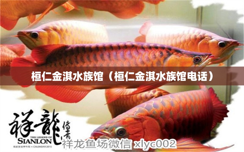 桓仁金淇水族馆（桓仁金淇水族馆电话）